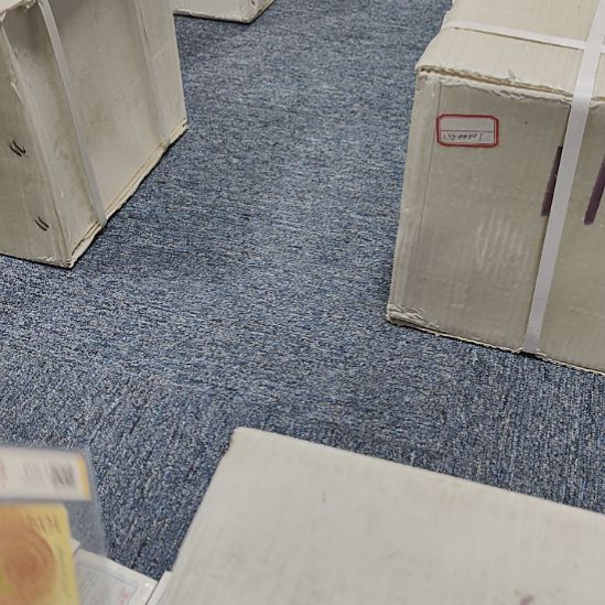 塑料点1不挑号238留号链接