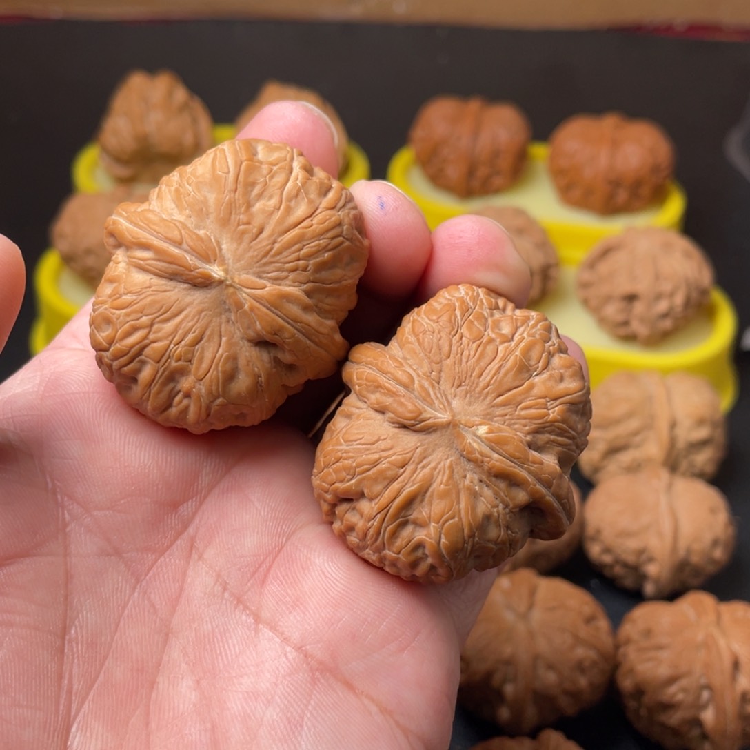 核桃。*核农文玩核桃元宝练手对