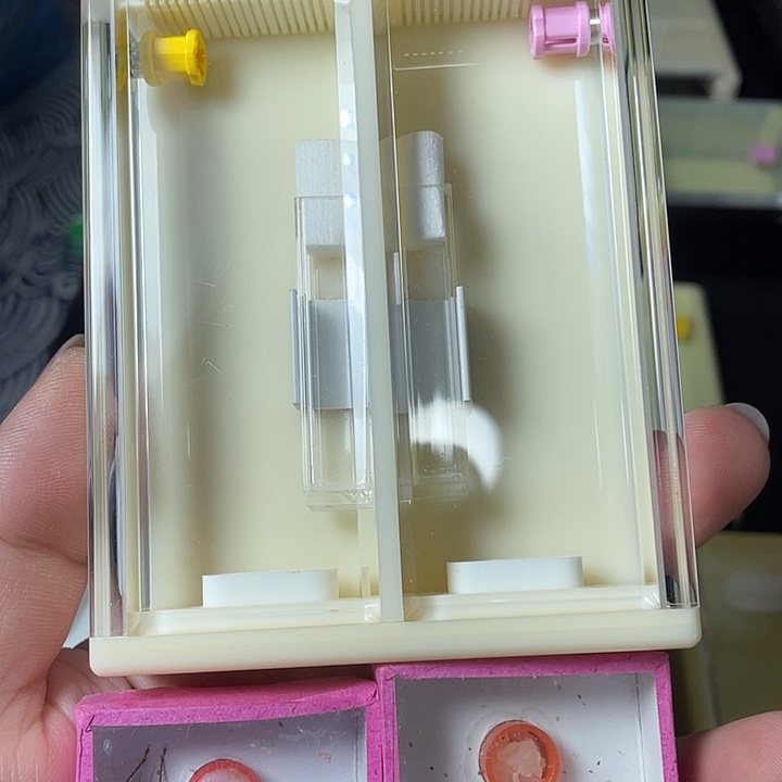 蟋蟀大黄整套哈哈哈哈
