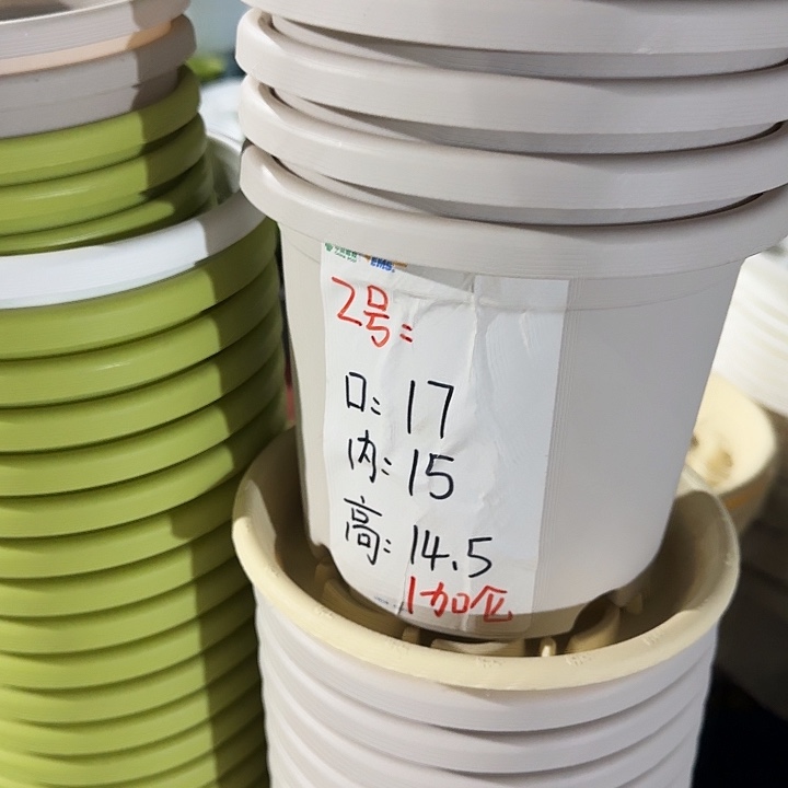 四季2号灰白无托10个