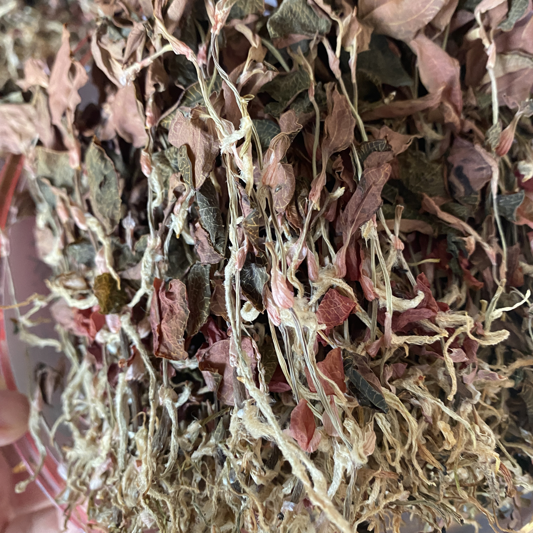 福建南靖正宗红霞金线莲干品整株煮水保汤食材礼盒装礼品