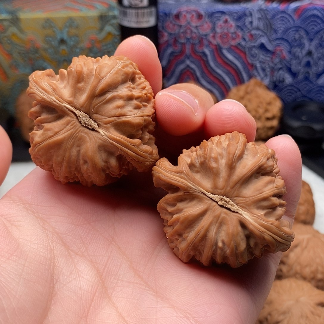 福***加43加尺寸白狮子文玩核桃