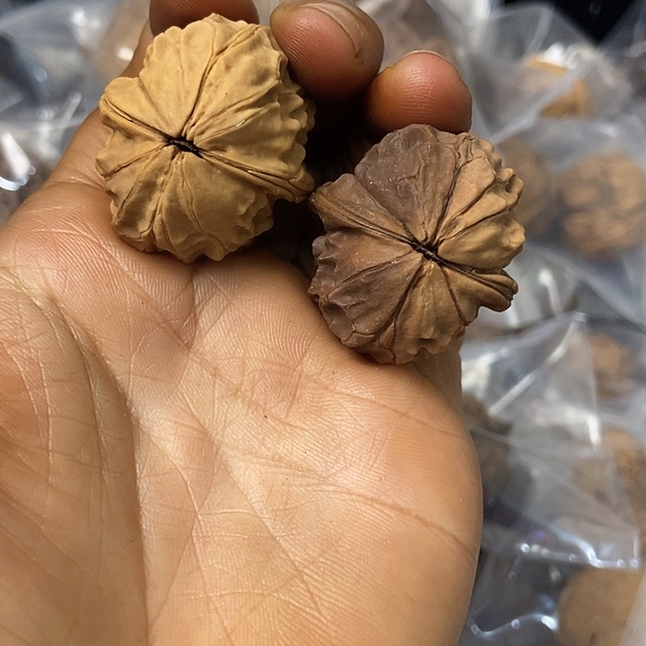 把件文玩核桃云南铁核桃基地4