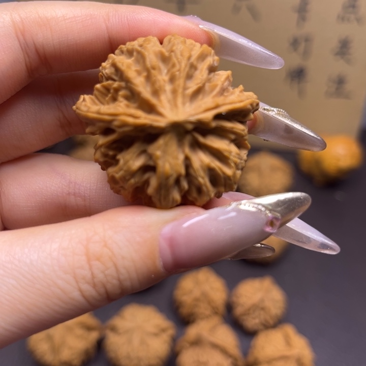 大***闪菩提籽类丁字三棱单只异型有瑕