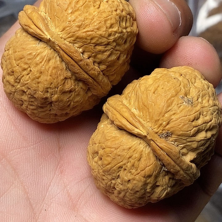 文玩核桃把件云南铁核桃54