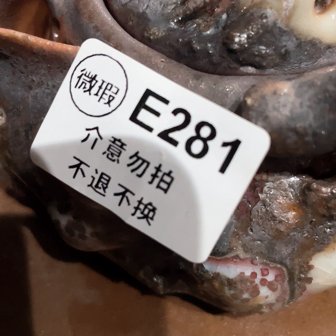 空*景德镇陶瓷艺术器物