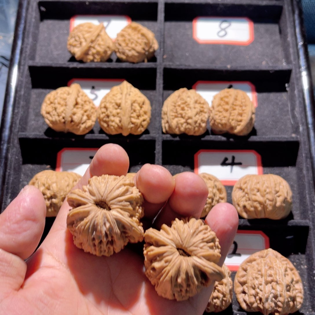 徐*某秦皇岛山地果全品