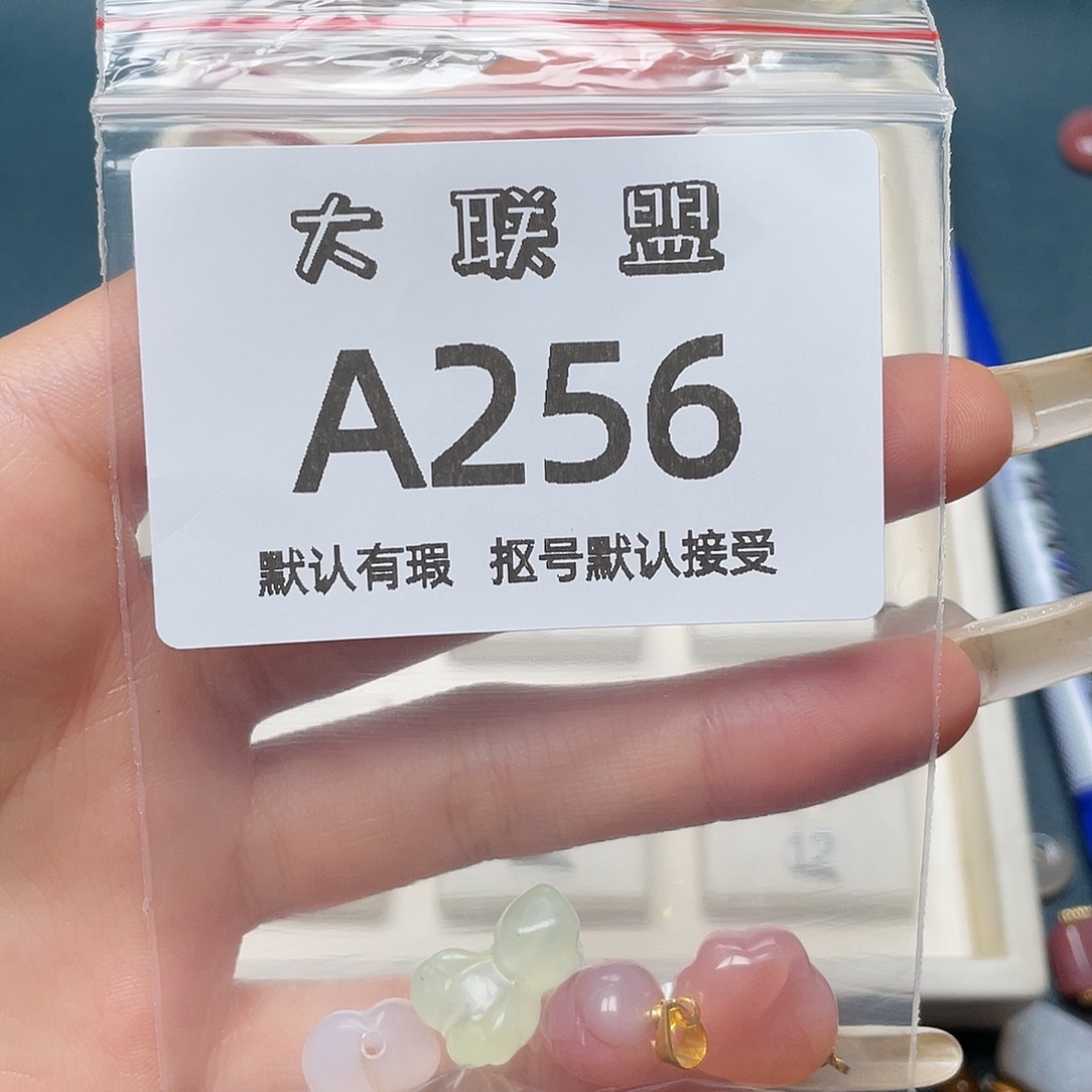 X***o玛瑙/玉髓未镶嵌颈饰