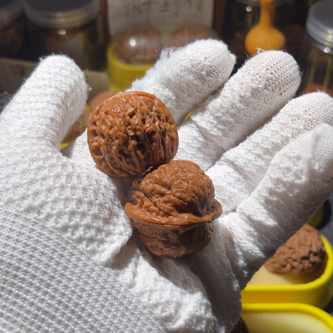 文玩核桃把件源*35x血麒麟