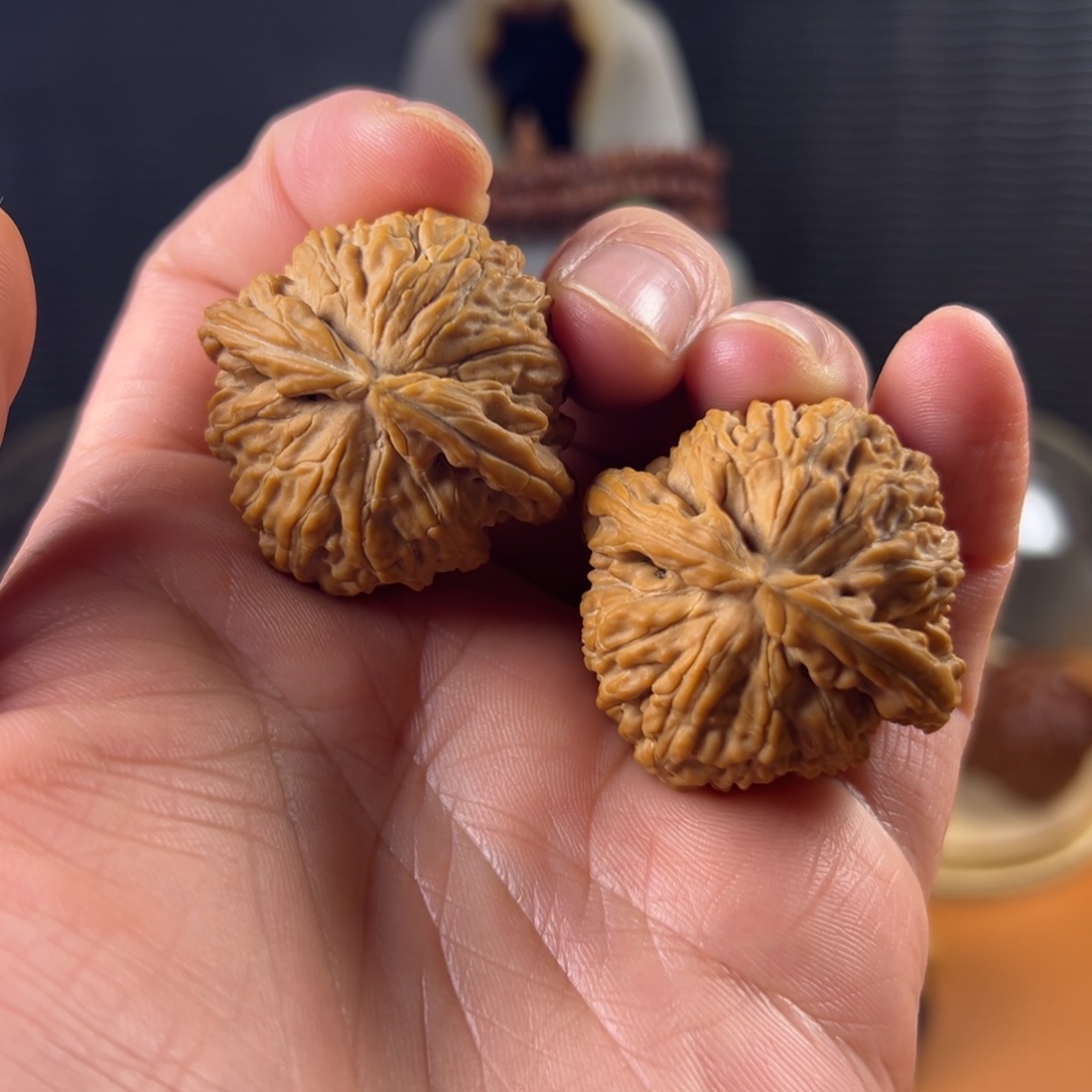 文玩核桃把件白狮子