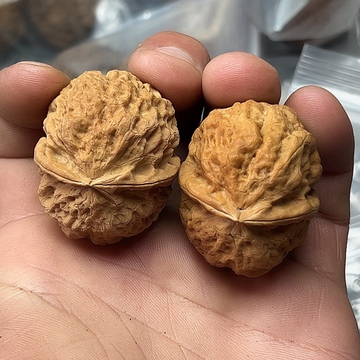 天***空核桃玉蟾40尺     