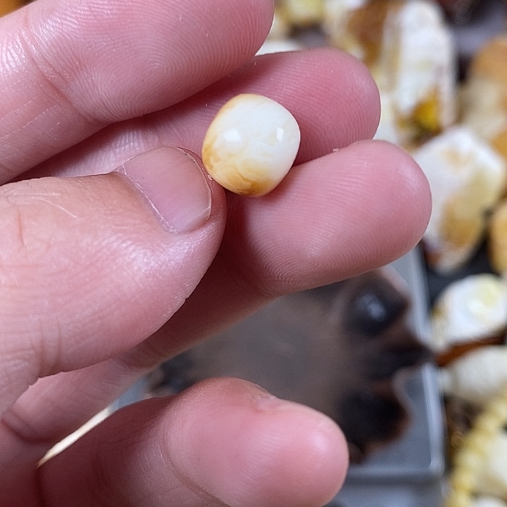 琥珀未镶嵌裸石我