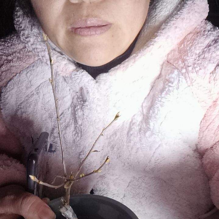 闲***步无花朵45654555558