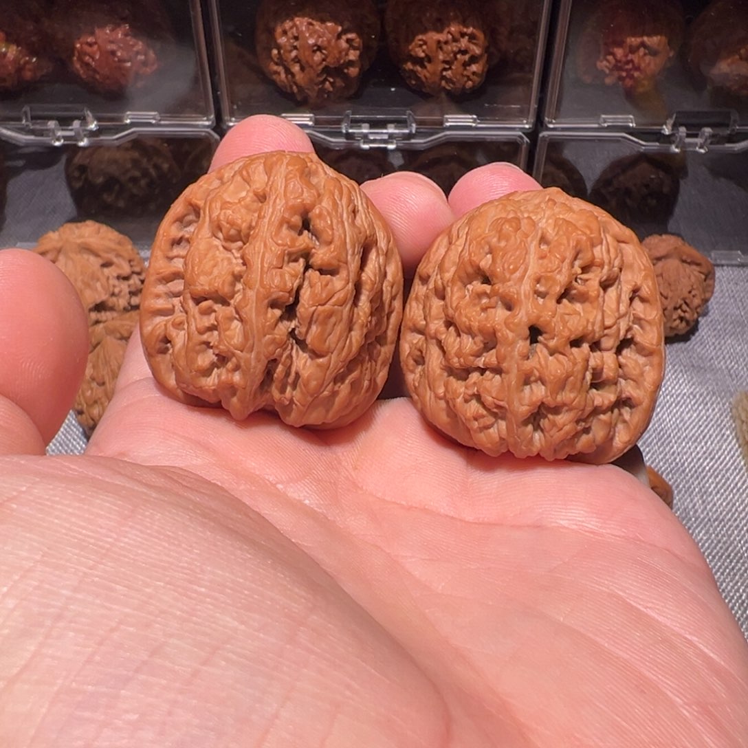 文玩核桃把件38华北将军膀