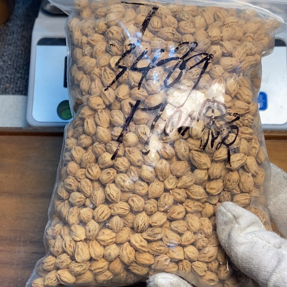 吊坠柏香籽/百香籽