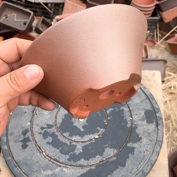 紫砂哈哈真的是太给力太