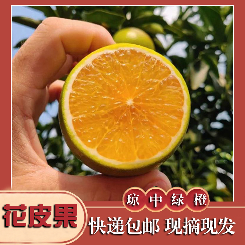 【胖墩哥-中果-京东包邮】海南琼中绿橙5斤花皮果皮薄汁多坏果包赔