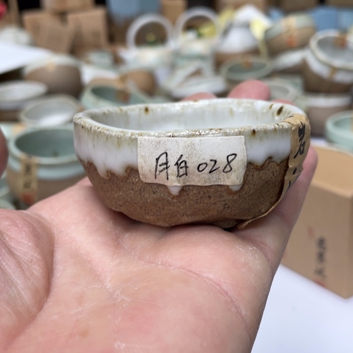 壶茶壶陶瓷茶壶茶杯