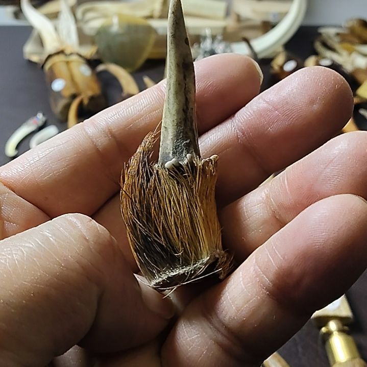 鹿缘坊直播间选货