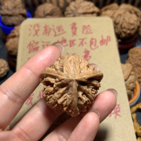 核桃飛文山三棱一个