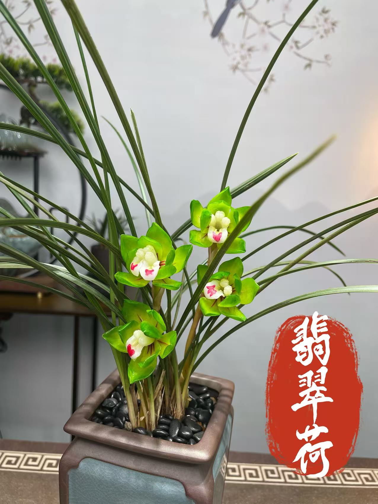 春兰翡翠荷 细叶春兰 荷瓣浓香好养护 老品种兰花 新手推荐