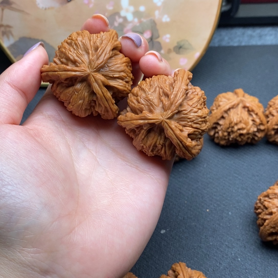 用****6白狮子21111111111111