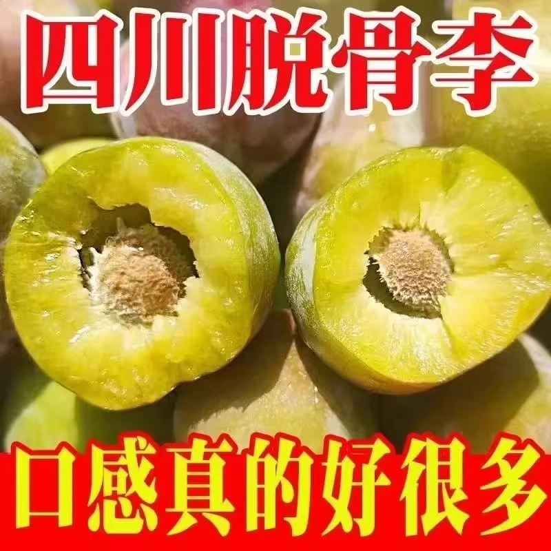正宗四川脱骨李新鲜应季脆甜多汁水果（多仓发货）