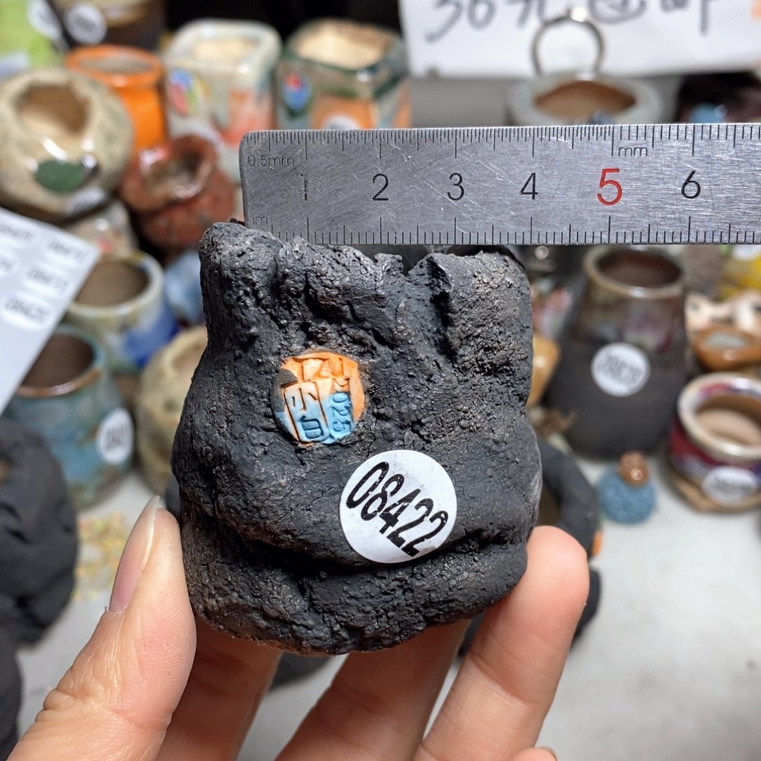 花盆拍3送一个小礼物