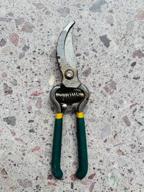 DIWELLS/得威斯8寸果枝剪带锈