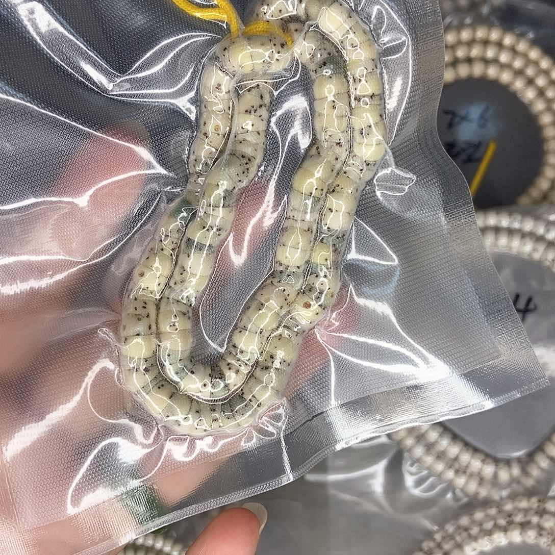 星月菩提手串星月