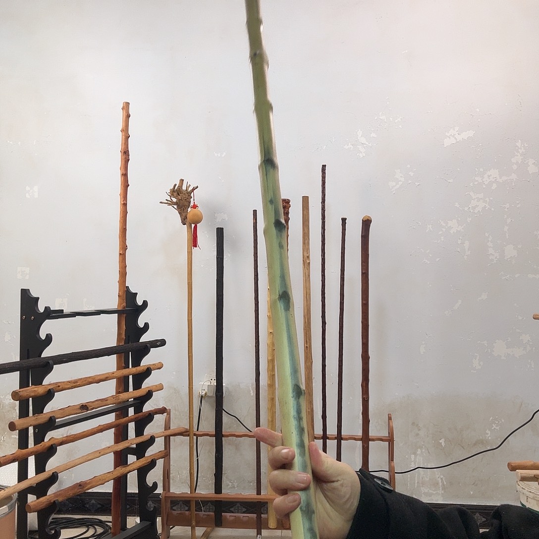 蚕***静蝴蝶木鞭杆有色差，，，，，