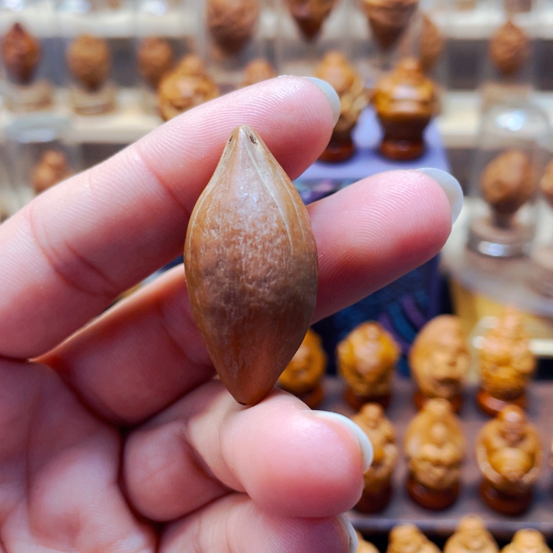 钟***凌橄榄核手串/手链橄榄