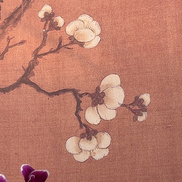 沐***鱼完全开放0919蝴蝶兰一物一拍