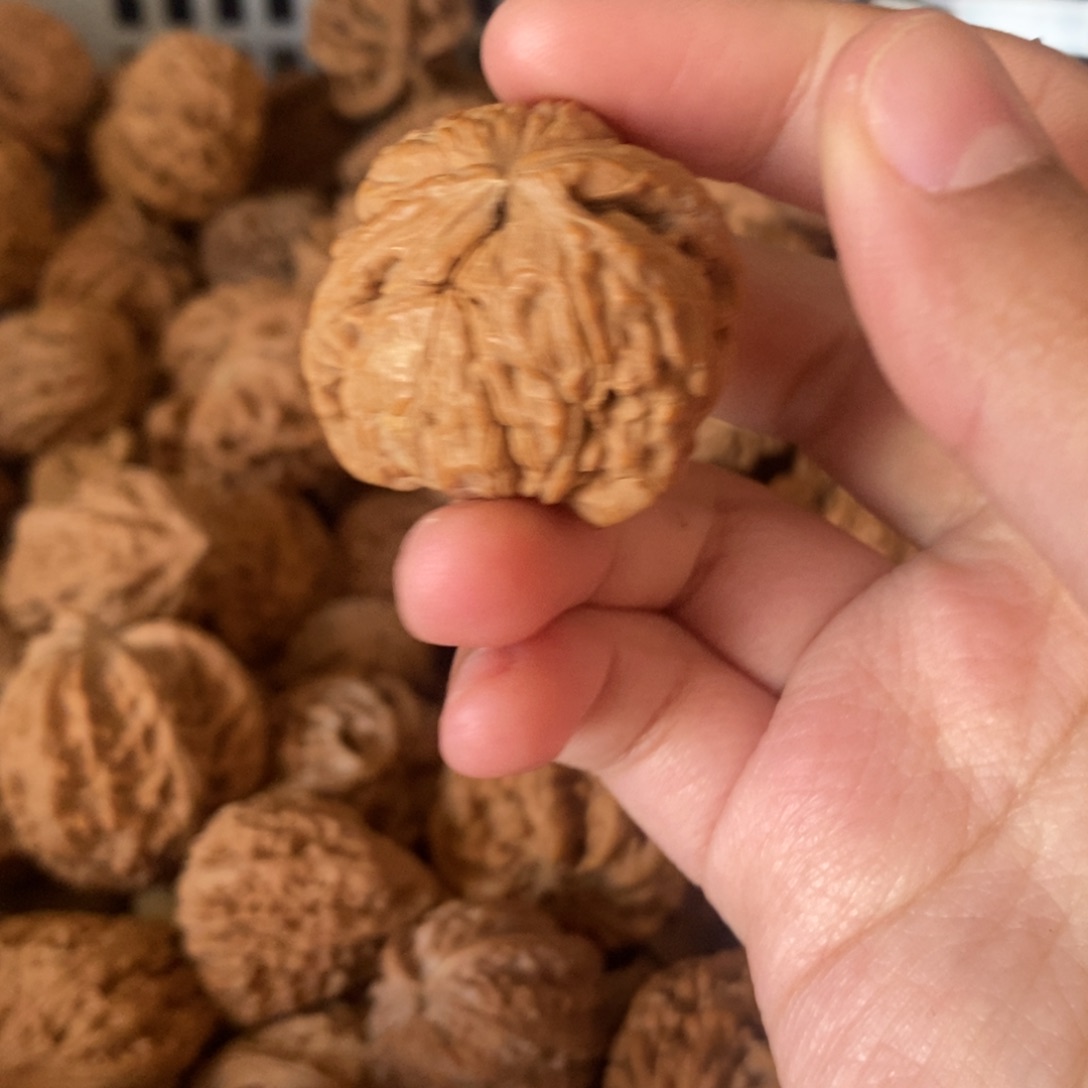 瓦***泰吊坠文玩核桃文玩