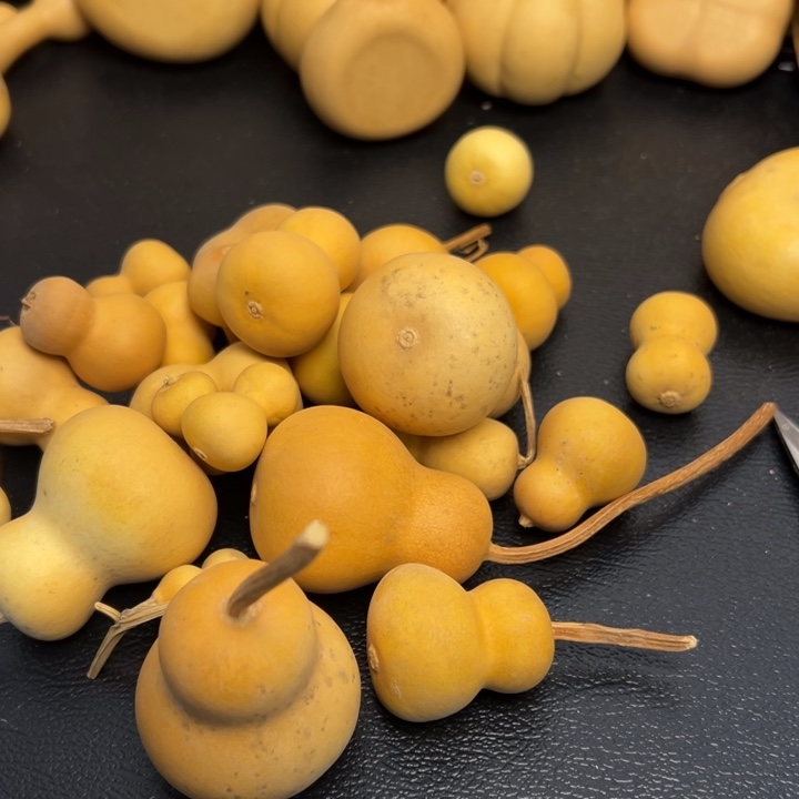 夏*葫芦葫芦葫芦葫芦葫芦葫芦葫芦