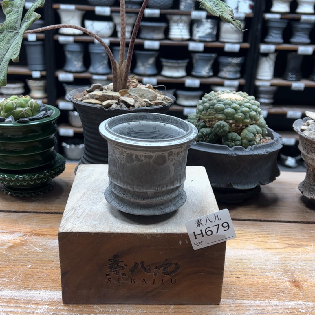 素八九陶瓷内口7.5高8.5