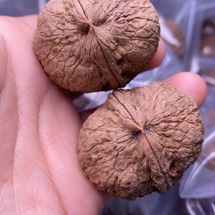 文玩核桃把件  199