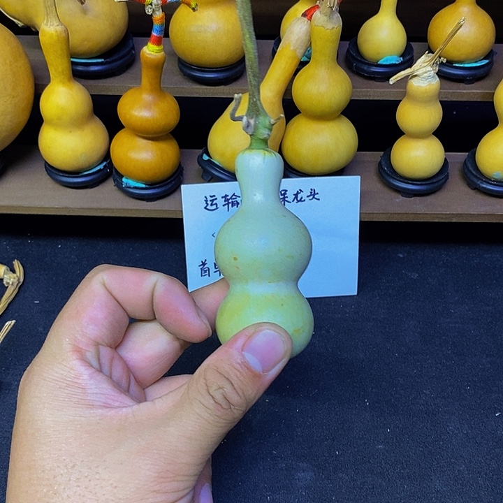 ?*哈哈哈哈哈哈哈哈哈哈哈