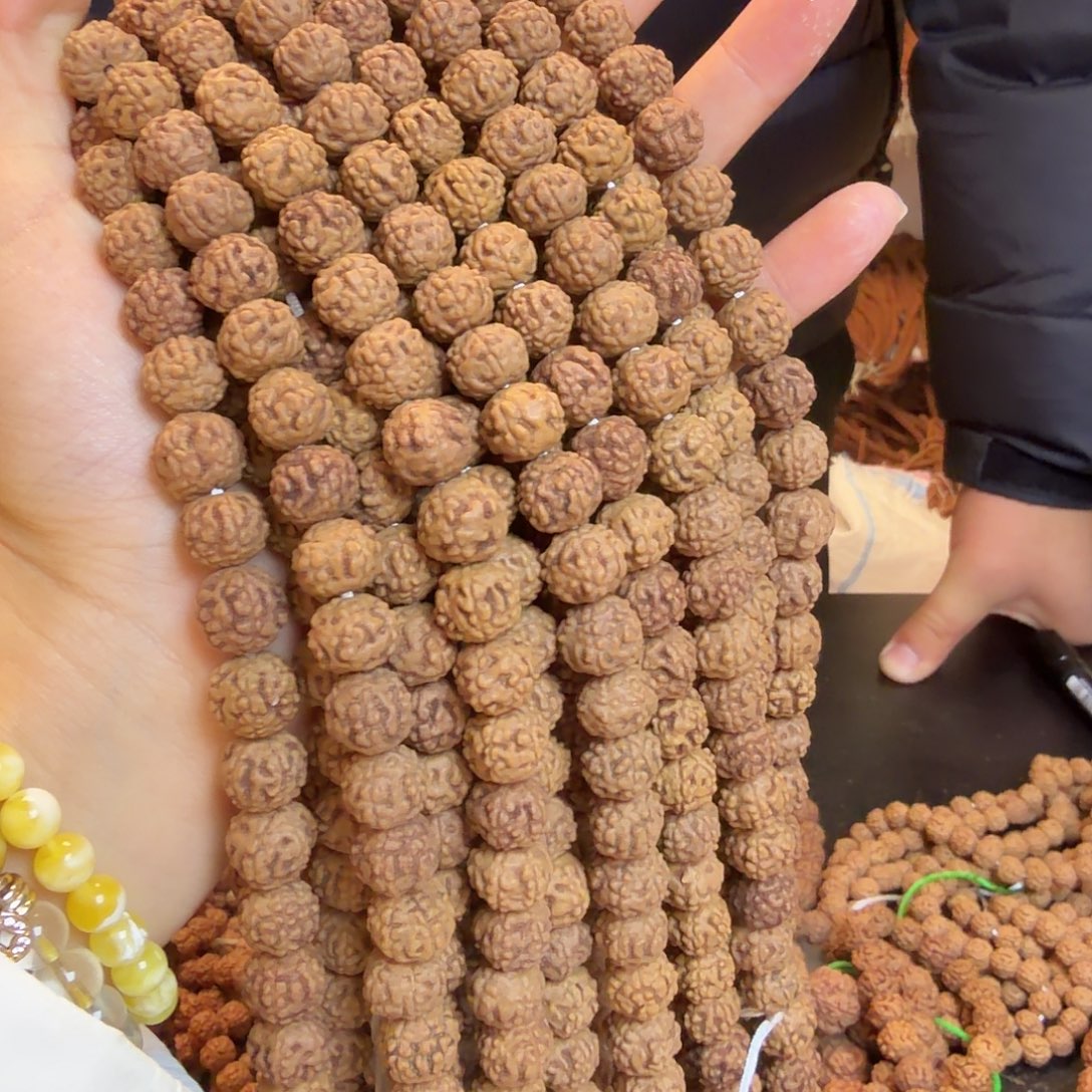 吊坠金刚菩提金蝉蛤蟆背1条有色差