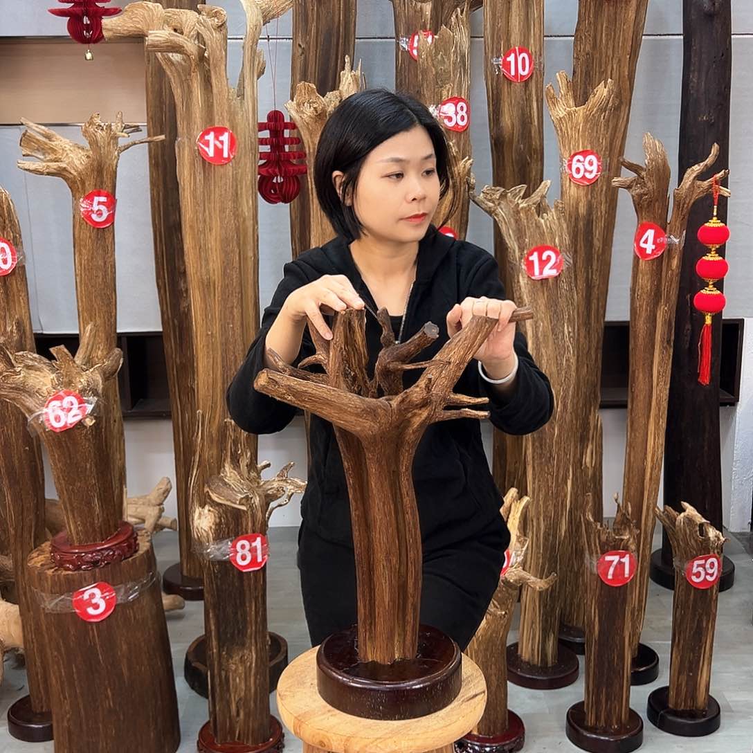 沉香摆件海南沉香摆件