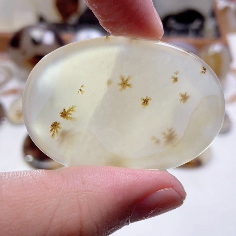 【闪购商品】玛瑙/玉髓颈饰未镶嵌