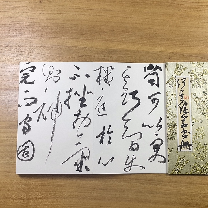书法中书协会员作品