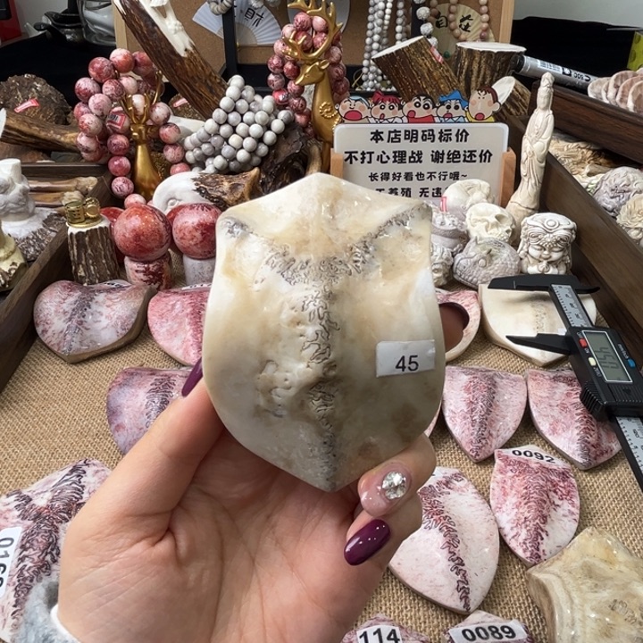 养殖马鹿三界牌45