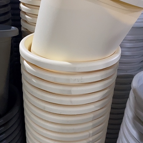 树脂四季7号米黄无托8个