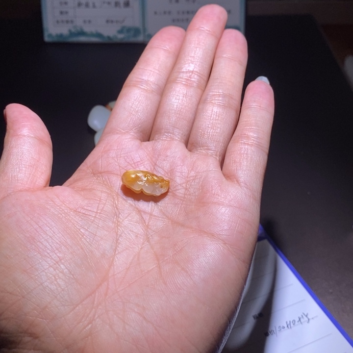 言***吾和田玉未镶嵌颈饰