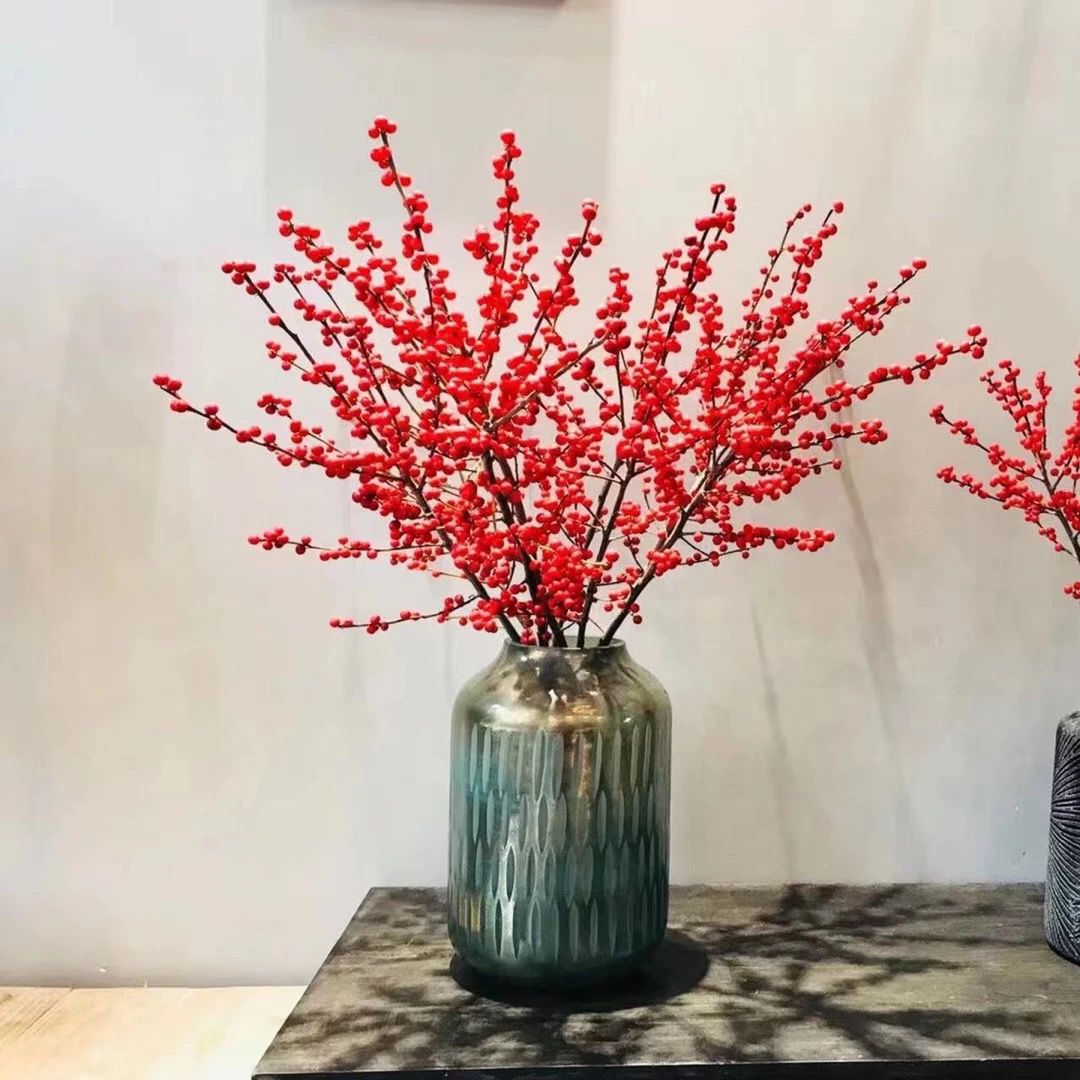 北美冬，一物一拍，盆栽地栽都可以