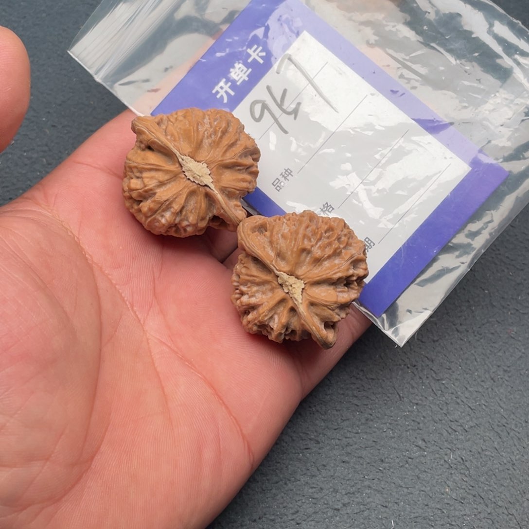 核桃把件41宫灯，957号