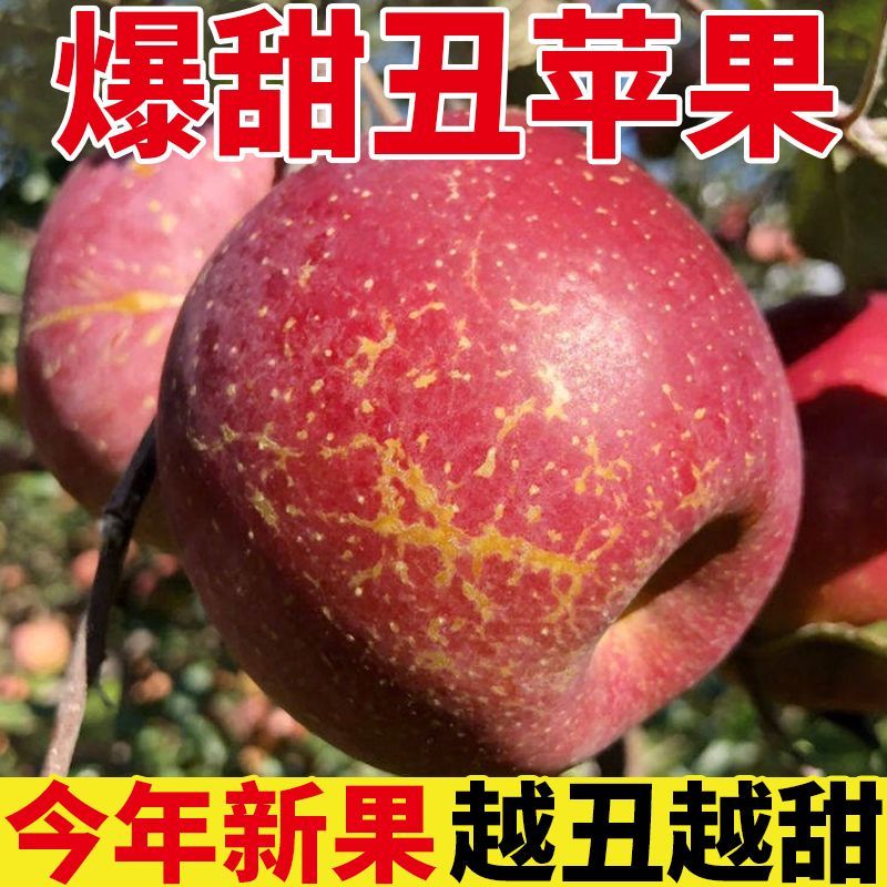云南昭通冰糖心丑苹果不挑颜值原汁原味新鲜到家