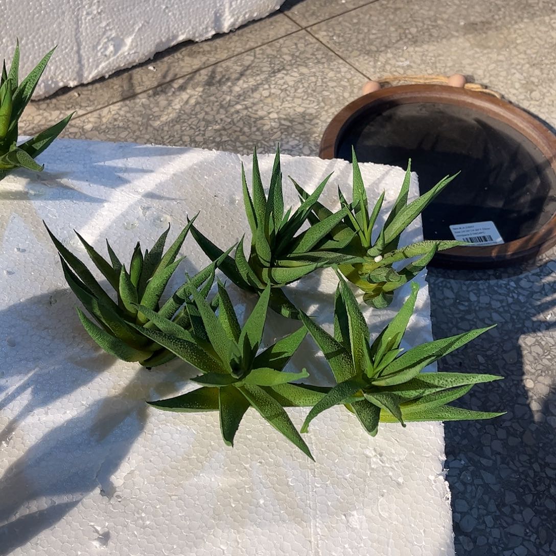 瑕疵瑕疵微瑕微瑕