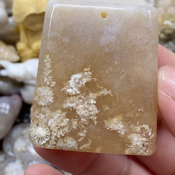 颈饰未镶嵌硅化珊瑚（珊瑚玉）有瑕